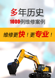 麻豆91入口案例